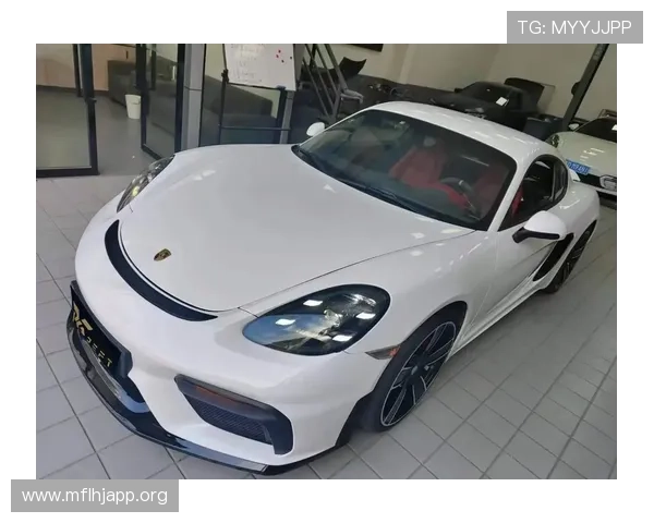 全面解析保时捷PG官网入口的最新更新与访问技巧指南